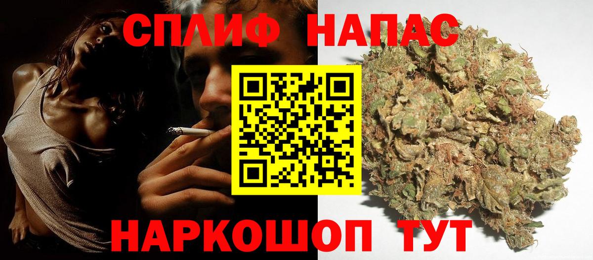 Канабис конопля Россия